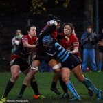 img_2103-3.jpg - JPEG - 531.5 ko - 2000×1999 px