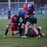 img_5135.jpg - JPEG - 463 ko - 2000×1333 px