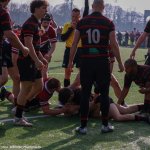 img_5222.jpg - JPEG - 632.1 ko - 2000×2000 px