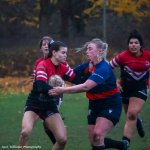 img_5232.jpg - JPEG - 441.4 ko - 2000×2000 px