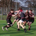 img_5430.jpg - JPEG - 156.7 ko - 2000×1521 px