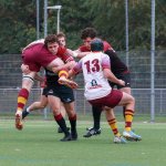 img_9585_1_.jpg - JPEG - 519.3 ko - 2000×1999 px