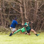 senior_binche_-_ciney_2024_-_rugby_-_rcc_binche_-_www.photoperinne.be_-_photo_sportive_-17.jpg - JPEG - 1008.8 ko - 2000×2000 px