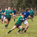 senior_binche_-_ciney_2024_-_rugby_-_rcc_binche_-_www.photoperinne.be_-_photo_sportive_-39.jpg - JPEG - 619.7 ko - 2000×2000 px