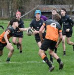 dsc_4602-3.jpg - JPEG - 238.4 ko - 2000×1325 px