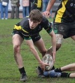 dsc_1980-3.jpg - JPEG - 128.6 ko - 2000×1333 px