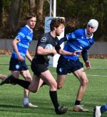 dsc_1475.jpg - JPEG - 136.2 ko - 2000×1339 px