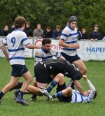 dsc_2921-3.jpg - JPEG - 166.3 ko - 2000×1325 px