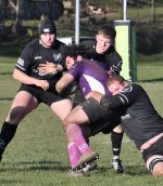 dsc_0189-2.jpg - JPEG - 381.8 ko - 2000×1339 px