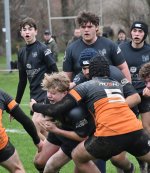 dsc_4580-2.jpg - JPEG - 235.2 ko - 2000×1325 px