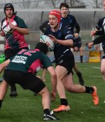 dsc_0761-2.jpg - JPEG - 132.1 ko - 1000×664 px