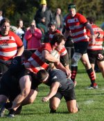 dsc_4106-2.jpg - JPEG - 211.1 ko - 2000×1335 px