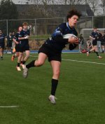 dsc_0709-5.jpg - JPEG - 145 ko - 2000×1333 px