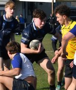 dsc_1208-3.jpg - JPEG - 643 ko - 2000×1429 px