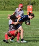 dsc_2335-4.jpg - JPEG - 185.2 ko - 1500×996 px