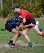 dsc_3764.jpg - JPEG - 145.2 ko - 2000×1325 px