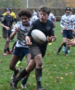 dsc_4306-3.jpg - JPEG - 238.3 ko - 2000×1333 px