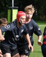 dsc_2998-3.jpg - JPEG - 173.2 ko - 2000×1333 px