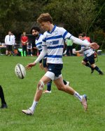 dsc_2928.jpg - JPEG - 525.5 ko - 1024×683 px