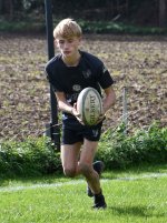 dsc_3179-3.jpg - JPEG - 226.7 ko - 2000×1325 px