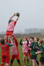 dsc_0744-3.jpg - JPEG - 281.9 ko - 2000×1325 px