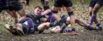 _nz86116.jpg - JPEG - 197.4 ko - 1024×414 px