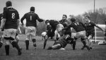 senior_binche_-_ciney_2024_-_rugby_-_rcc_binche_-_www.photoperinne.be_-_photo_sportive_-62.jpg - JPEG - 308.6 ko - 2000×1125 px