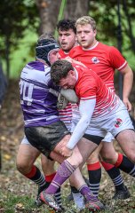 _nz86257.jpg - JPEG - 356.9 ko - 1024×1618 px