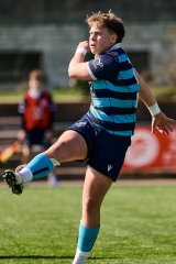 154_jz1_0103.jpg - JPEG - 568.5 ko - 2000×3001 px