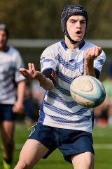 2372_jz1_2329.jpg - JPEG - 596.5 ko - 2000×3001 px