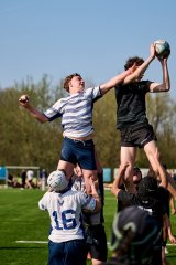 2445_jz2_4824.jpg - JPEG - 588.4 ko - 2000×3001 px