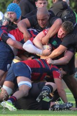 251109_d1_082_r7_46529.jpg - JPEG - 728.3 ko - 2000×3001 px