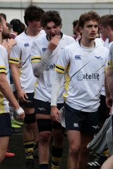 452a8203.jpg - JPEG - 574.5 ko - 2000×3000 px