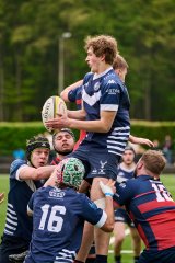 5481_jz2_7384.jpg - JPEG - 727.6 ko - 2000×3000 px