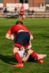 718_jz2_0222.jpg - JPEG - 753.2 ko - 2000×3001 px