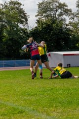 dsc01641.jpg - JPEG - 1.6 Mo - 2000×3000 px