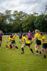 dsc01659.jpg - JPEG - 1.2 Mo - 2000×3000 px