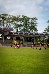 dsc01723.jpg - JPEG - 1.2 Mo - 2000×3000 px