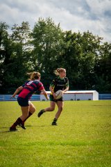 dsc01998.jpg - JPEG - 1.3 Mo - 2000×3000 px