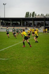 dsc02721.jpg - JPEG - 1.2 Mo - 2000×3000 px