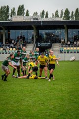 dsc02778-2.jpg - JPEG - 1.4 Mo - 2000×3000 px