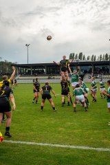 dsc03057.jpg - JPEG - 1.2 Mo - 2000×3000 px