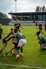 dsc03170.jpg - JPEG - 1.4 Mo - 2000×3000 px