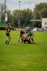 dsc03188.jpg - JPEG - 1.8 Mo - 2000×3000 px