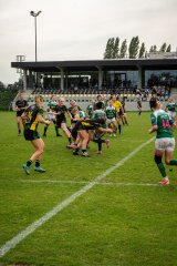 dsc03282.jpg - JPEG - 1.4 Mo - 2000×3000 px