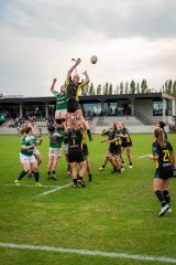 dsc03349.jpg - JPEG - 1.3 Mo - 2000×3000 px