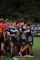 img_0705-2.jpg - JPEG - 416 ko - 1500×2251 px