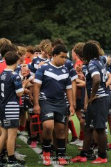 img_0714-2.jpg - JPEG - 463.2 ko - 1500×2251 px