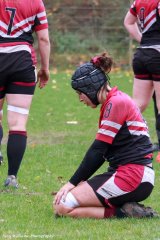 img_1546-2.jpg - JPEG - 852.8 ko - 2000×3000 px