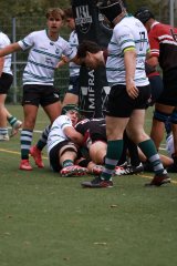 img_1896-3.jpg - JPEG - 637.4 ko - 2000×3000 px